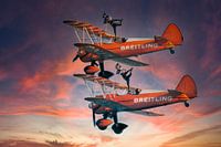 Aero Superbatics Wingwalkers