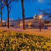 Jonquilles en trompette sur le Lange Vijverberg et le Binnenhof après le coucher du soleil sur Rob Kints