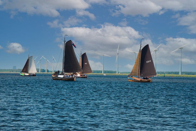 Botters on the Gooimeer. by Brian Morgan