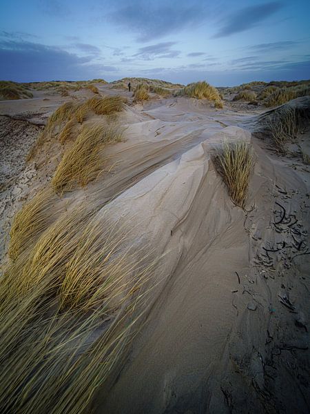 Dutch dunes by Dirk van Egmond
