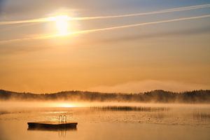 Schwimminsel in einem schwedischen See
