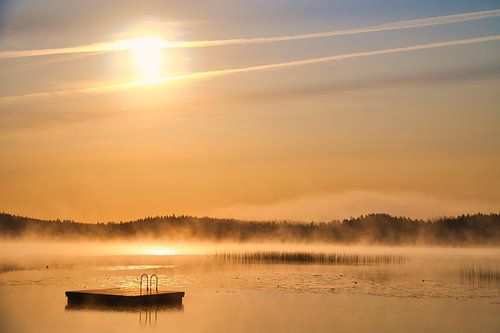 Floating island in a Swedish lake