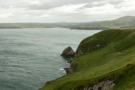 Green as grass! Dinas Head by SchumacherFotografie