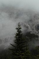 Fog in the Gaistal 2 - 2024