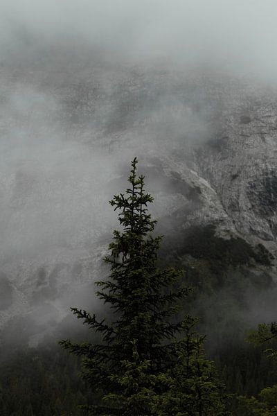 Fog in the Gaistal 2 - 2024 by Enrico Zavaglia