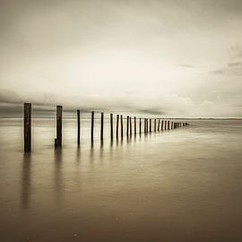 Palen in zee op het strand in sepia van Sjoerd van der Wal Fotografie