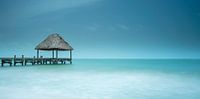 perfect place