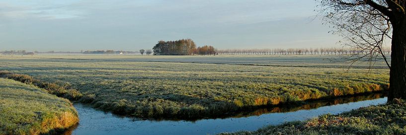 froid dans le polder par Yvonne Blokland