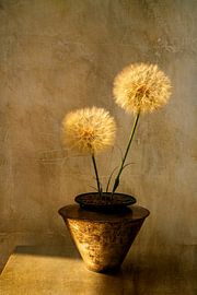 Botanical Brilliance. Stilleven met bloemen. Pluisjes. Goud. van Alie Ekkelenkamp