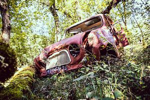 Reanult 4 trouvé dans la forêt sur tovano.pictures