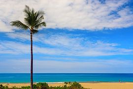 Parc d'État de Hapuna Beach, Hawaii sur Henk Meijer Photography