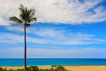 Parc d'État de Hapuna Beach, Hawaii sur Henk Meijer Photography