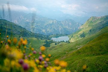 Bloemrijk uitzicht op de Seealpsee in de Allgäuer Alpen