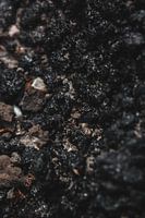 der Schmutz unter deinen Nägeln