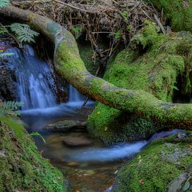 Wasserfall unter Baumstamm von Cor Brugman