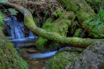 Waterfall under tree trunk by Cor Brugman