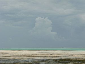 'Regenbui', Zanzibar van Martine Joanne