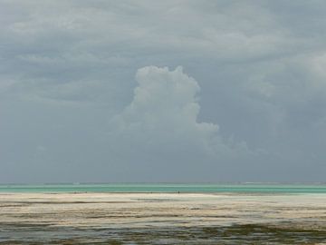 'Regenbui', Zanzibar van Martine Joanne