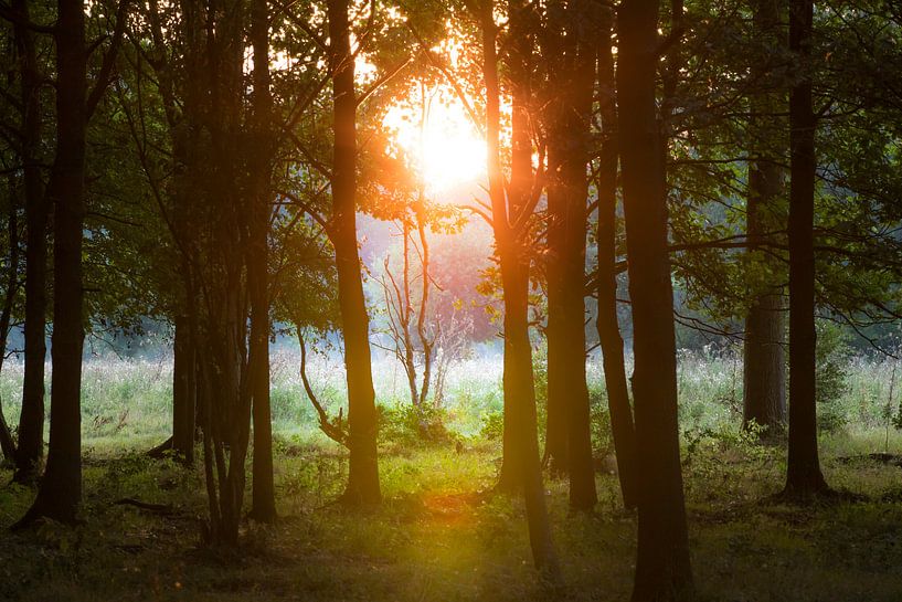 Sunrise II by Marinella Geerts