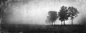 Monochrome Melancholie