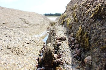 Warten auf das Wasser