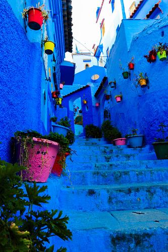 the bluest alley in Chefchouan (Morocco)