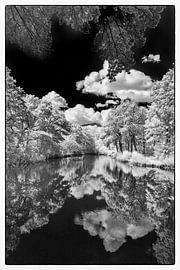 Lake in the forest infrared