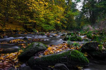 Idylle aan de rivier, herfst in het Georgewitz Skala 2 van Holger Spieker