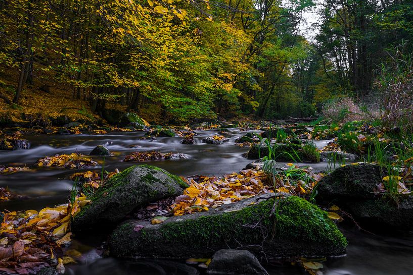 Idyll by the River, Autumn in the Georgewitz Skala 2 by Holger Spieker