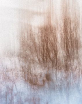 Wolfhezerheide partie 158