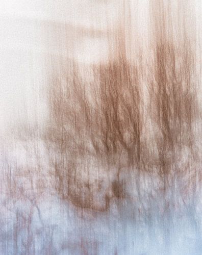 Wolfhezerheide part 158