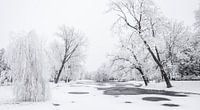 Winterlandschap in het stadspark van Kampen van Sjoerd van der Wal Fotografie thumbnail