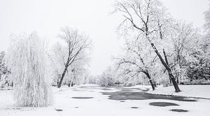 Gefrorene Winterlandschaft im Stadtpark von Kampen