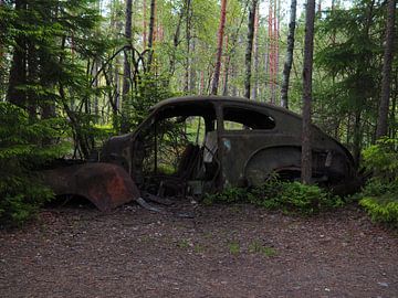 Autowrak in het bos bij Ryd 8 van Helene Ketzer