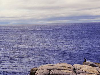 Sitting at the rock of the bay.