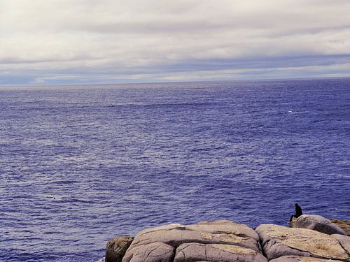 Sitting at the rock of the bay.