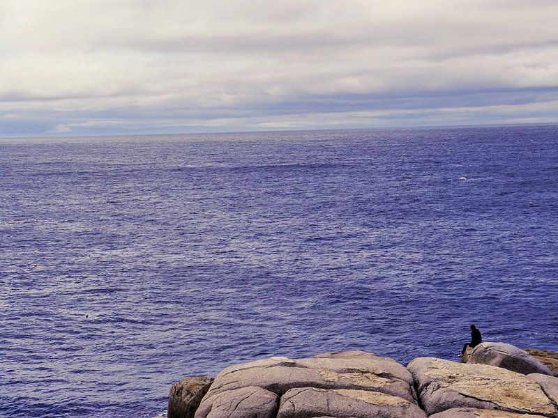 Sitting at the rock of the bay. van Isis van Noort