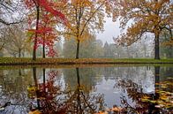 November in The Park by Frans Blok - photos, art and other wall decoration thumbnail