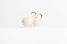 Zwei Kürbisse von Elles Rijsdijk