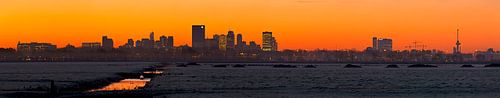 Panorama Rotterdam vu du polder