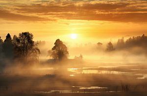 Morgennebel im Herbst