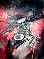 Bike art (4)