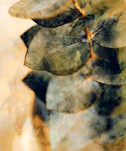 Eukalyptus auf Warm Beige