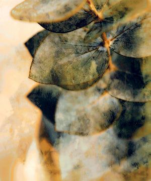 Eucalyptus on Warm Beige