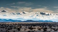Mojave-Wüste -1 von Keesnan Dogger Fotografie Miniaturansicht