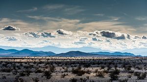 Mojave-Wüste -1