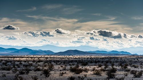 Mojave woestijn -1