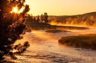 Zonsopkomst over Yellowstone rivier van Stefan Verheij thumbnail