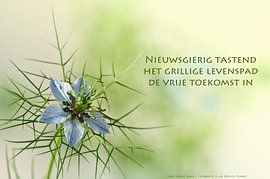 Juffertje in het groen by Beeld en Poëzie