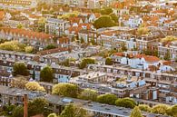 Luftaufnahme eines Stadtteils im Zentrum von Den Haag von gaps photography Miniaturansicht